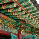 단청 Daum카페