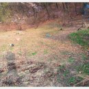 포일농장 이미지