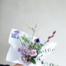 선꽃집
