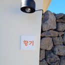 별담채 | [제주도] 시골감성 독채펜션 &#39;귤담채 향기&#39; 숙박 후기!