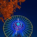 노벨라 별하나 이미지