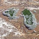 CW-1410-01 이미지