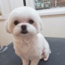 예뻐지개 이미지