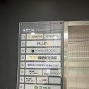 봄눈피우다의원 | [홍대/피부과] 슈링크, 피코토닝 첫방문 이벤트 '봄눈피우다의원'
