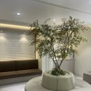 루아크성형외과의원 이미지