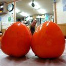 밀양횟집 이미지