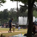 농구장 옆 횡단보도 이미지