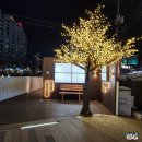 증산3교옆 | [24.3.30 ~ 4.3 불광천 벚꽃 및 야경] #벚꽃개화상태 #벚꽃개화시기 #벚꽃축제 #산책로 #개나리 #빛축제...