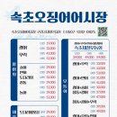 속초오징어어시장