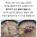 굿앤쉐프