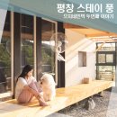 으지네민박 | 평창 분위기좋은 애견동반 촌캉스펜션 스테이풍
