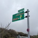 GS25산남법원점 | [방문] 제주 한라산 1100고지 습지 추천 후기