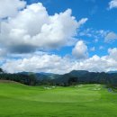 오로라 - 김포시 인향로24번길 46 | 오로라
