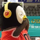 다이어트핏 이미지