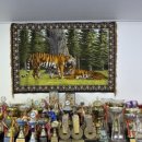 화신태권도 이미지