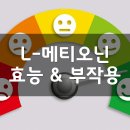 G00117 | 메티오닌 (L-Methionine) 효능, 부작용, 권장량, 제품 순위