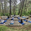 배꼽 유아숲체험원 연합뉴스