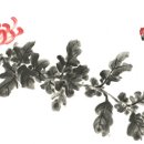 사군자 Daum카페