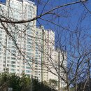 삼정그린코아 후문 이미지