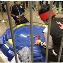 왕게임장 이미지