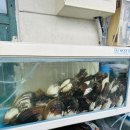 청학횟집 이미지