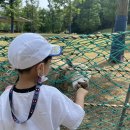 맘마목장 이미지