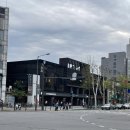 핑거스타일 기타 | 석촌호수 벚꽃 구경! 스타벅스 석촌서호점 신메뉴 레이디핑거 티라미수