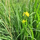 마음을 담은 편지쓰기 이미지