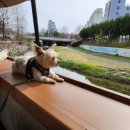 구암동297 | 쏘야의 일상 기록(4월)