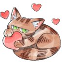 세차잘하는남자들 이미지