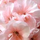 아랑농장 이미지