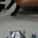 범 동물병원 이미지