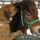 파랑 이미지