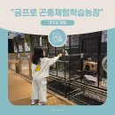 경기도 양평군 양평유치원 | 양평 아이랑 가볼만한 곳 추천! 굼프로 곤충체험학습농장 방문 후기