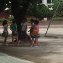 남양초등학교 이미지