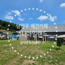 남양주 애견카페 코니아일랜드 실내운동장 :)