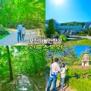 육림호카페 | 광릉수목원 주차 예약 카페 총정리 경기도 포천 가볼만한곳