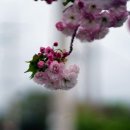 안성리 마을회관 이미지