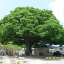 연하2리 마을회관 이미지