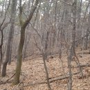 수진 공원 이미지