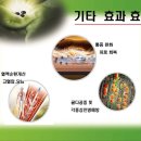 바이오포톤 이미지