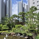 그랜드센트럴북카페 | 전남광주 동구 계림동 그랜드센트럴 118동 10층 59B 타입 월세