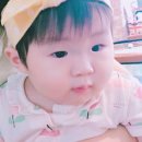 엔크린카센타 이미지