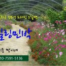 분천민박 이미지
