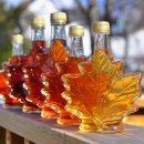 사과나무유치원 이미지