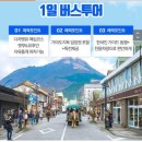 타비투어 이미지