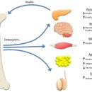 북구종로약국 이미지