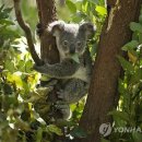 하얀컴퓨터세탁 이미지