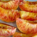 김종달농장 이미지