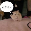 장생포 대왕암 코스 네이버블로그